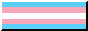 button of the transgender flag